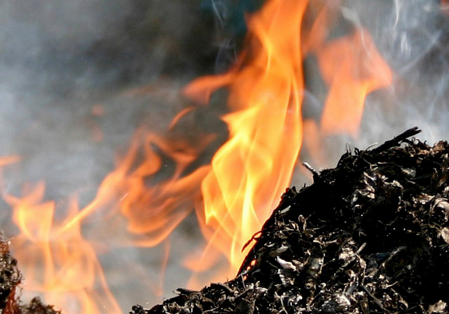 59 пожаров сухой растительности произошли в Могилевской области с начала пожароопасного периода