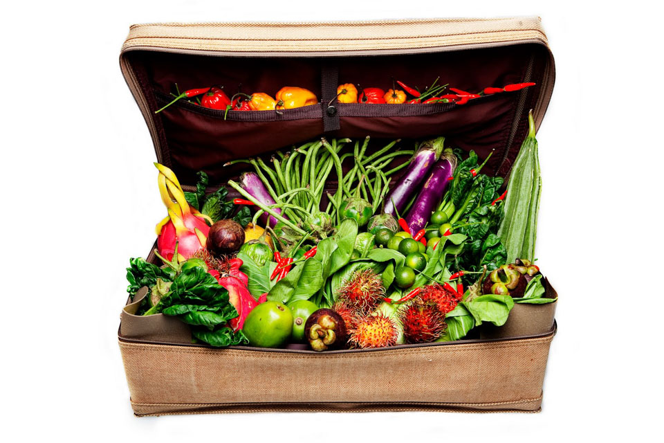 Когда овощи и фрукты… в багаже