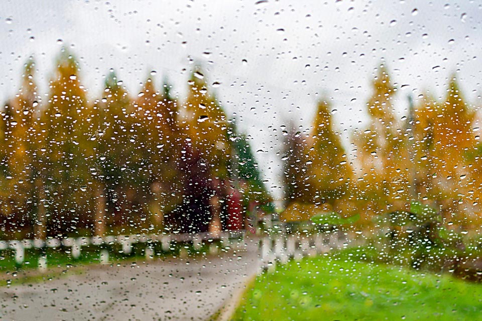 До +15°С и небольшие дожди ожидаются в Беларуси 29 октября