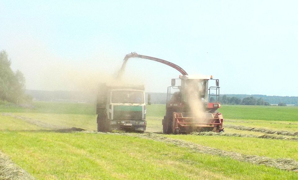 В прокосы ложатся травы