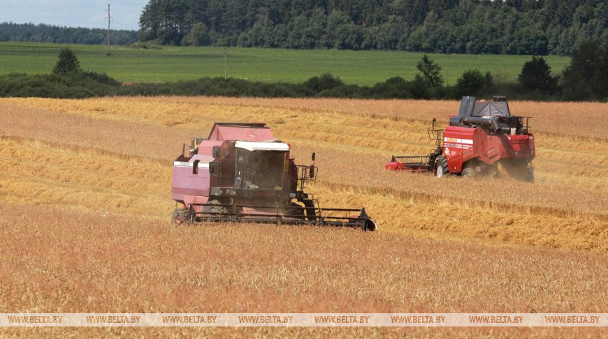 Первый миллион тонн зерна собран в Беларуси