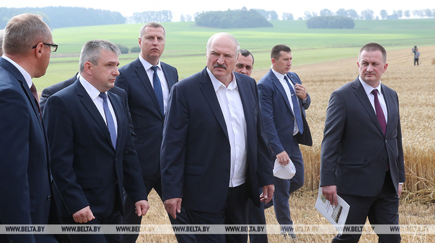 Александр Лукашенко о видах на урожай: 9,5 млн т зерна – минимум, который должны взять в этом году
