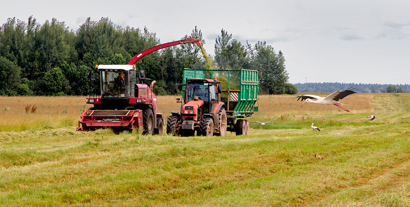 В каждом хозяйстве – свой  передовик