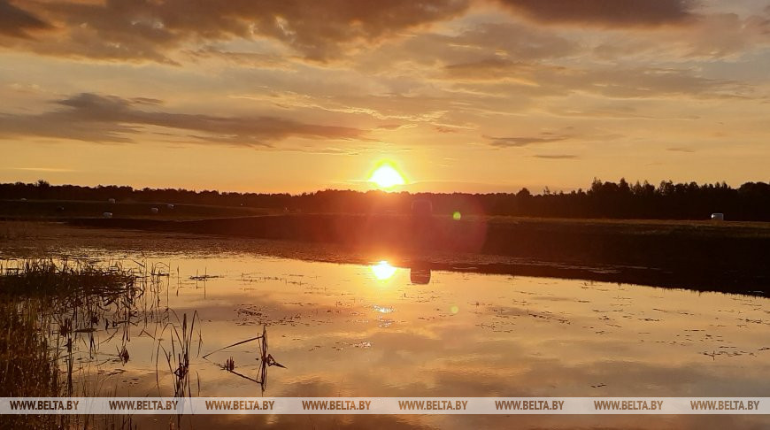 Теплую с дождями погоду прогнозируют на этой неделе в Беларуси