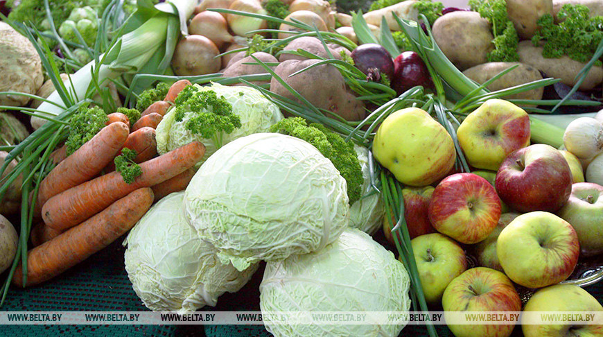 Производство овощей в Беларуси позволяет полностью обеспечить рынок отечественной продукцией – МАРТ