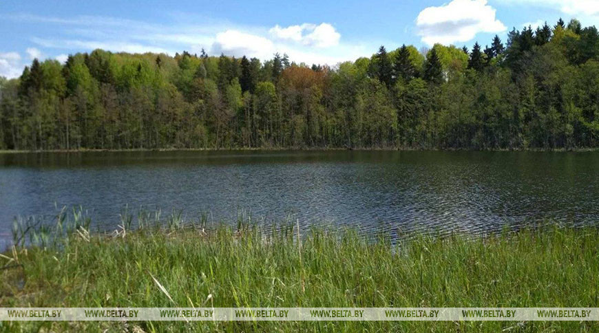 Дожди и грозы ожидаются в Беларуси 3 сентября