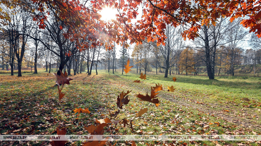 Сентябрь в этом году ожидается теплее обычного – Белгидромет