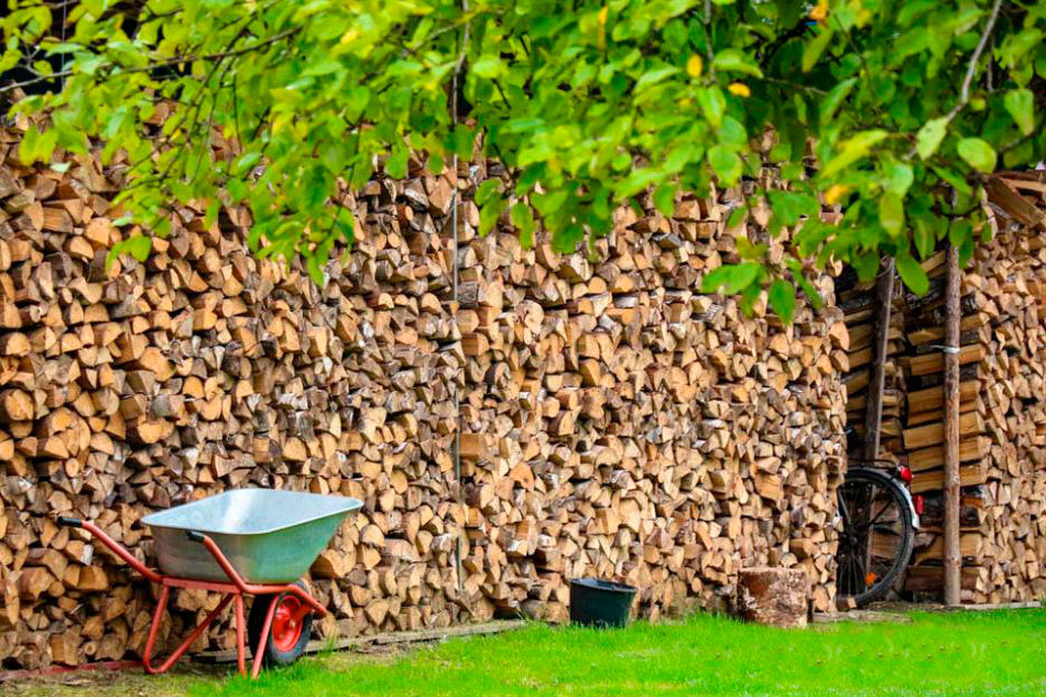 На 4°С выше климатической нормы ожидается до конца сентября в Могилевской области