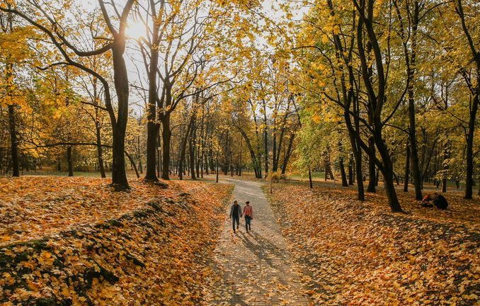 В Беларуси ноябрь стартует не по сезону теплой погодой – Белгидромет