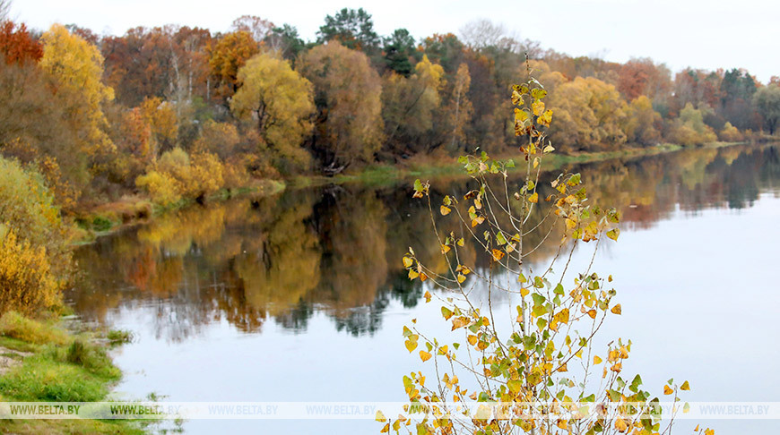 До +10°С ожидается в Беларуси 5 ноября