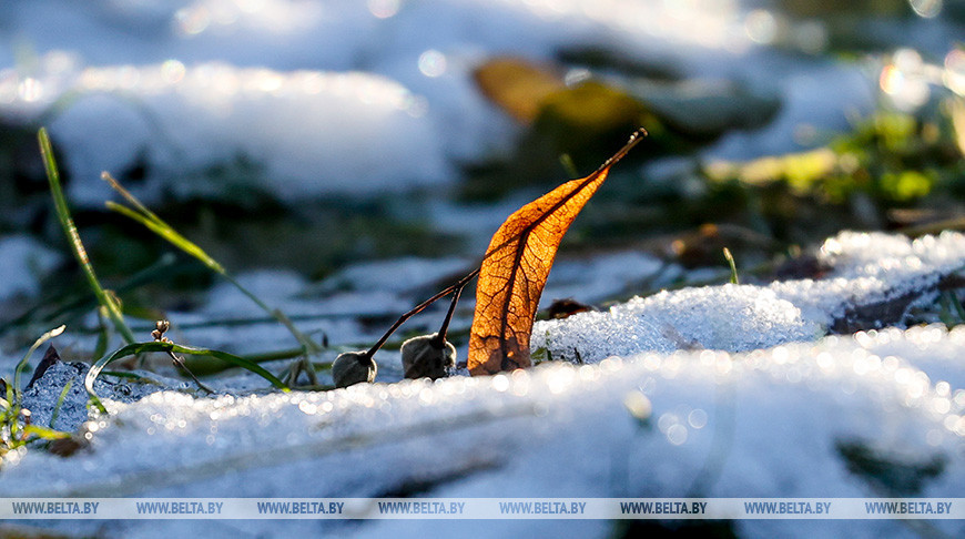Небольшие осадки ожидаются в Беларуси 22 декабря