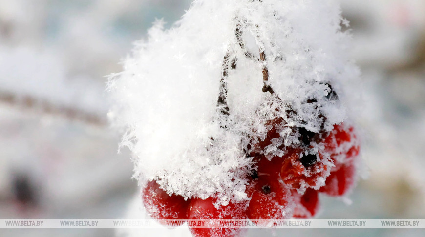 Мокрый снег и дождь ожидаются местами по Беларуси 23 декабря