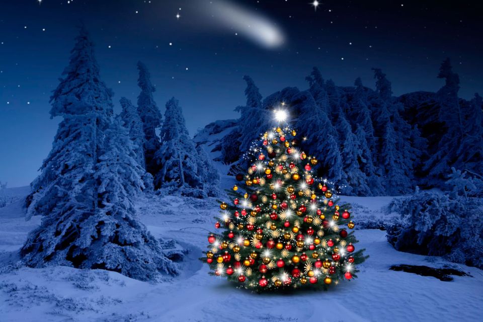 ЗАЖЖЕМ ОГНИ НА ГЛАВНОЙ ЁЛКЕ