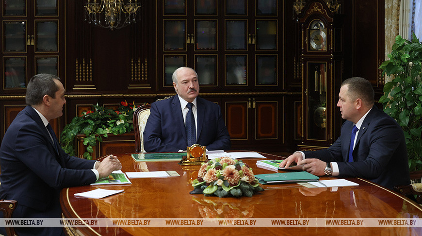 “Восстановили утраченное в бытность СССР” – Лукашенко оценил развитие лесного хозяйства в Беларуси