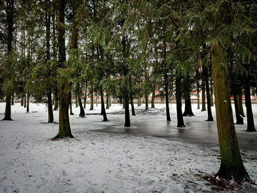 Похолодание ожидается в первой половине следующей недели в Могилевской области
