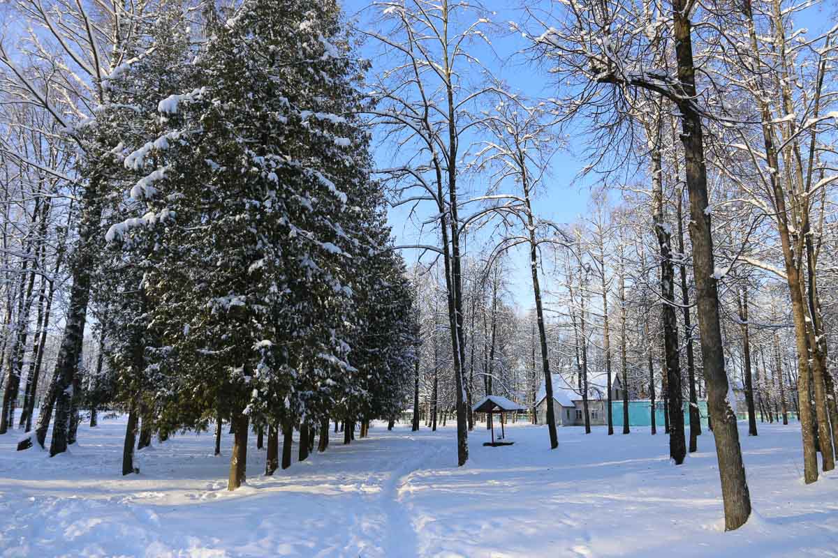 Погодные условия ухудшатся в начале следующей недели в Могилевской области