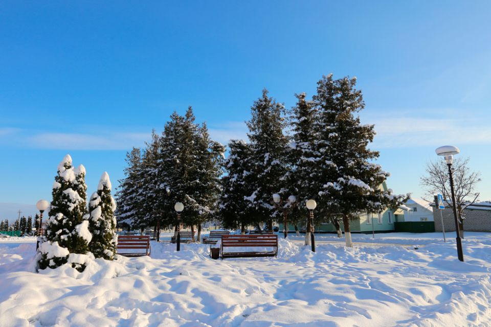 Снег и гололедица ожидаются в Беларуси 14 января