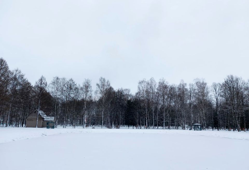 В Беларуси к концу недели похолодает