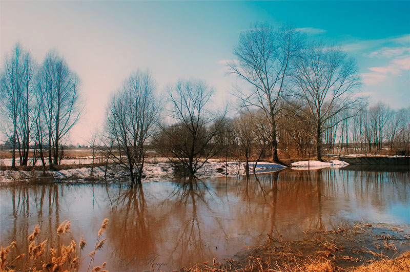 Вешние воды