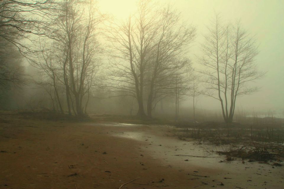 Туман и гололедица ожидаются в Беларуси 26 марта