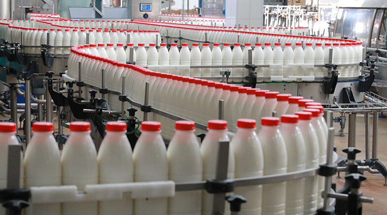 Беларусь планирует в 2021 году увеличить объемы производства молока и мяса