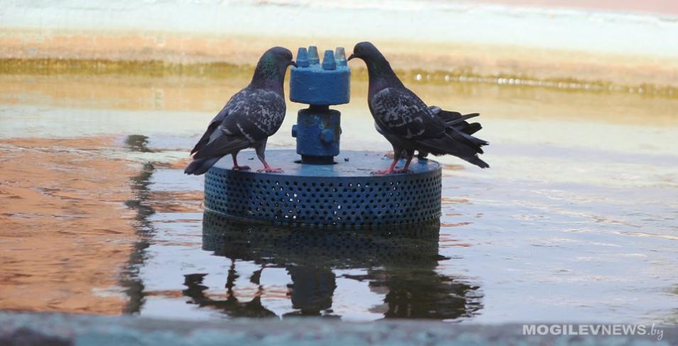 Погода на неделю: к выходным потепление, с пятницы преимущественно без осадков