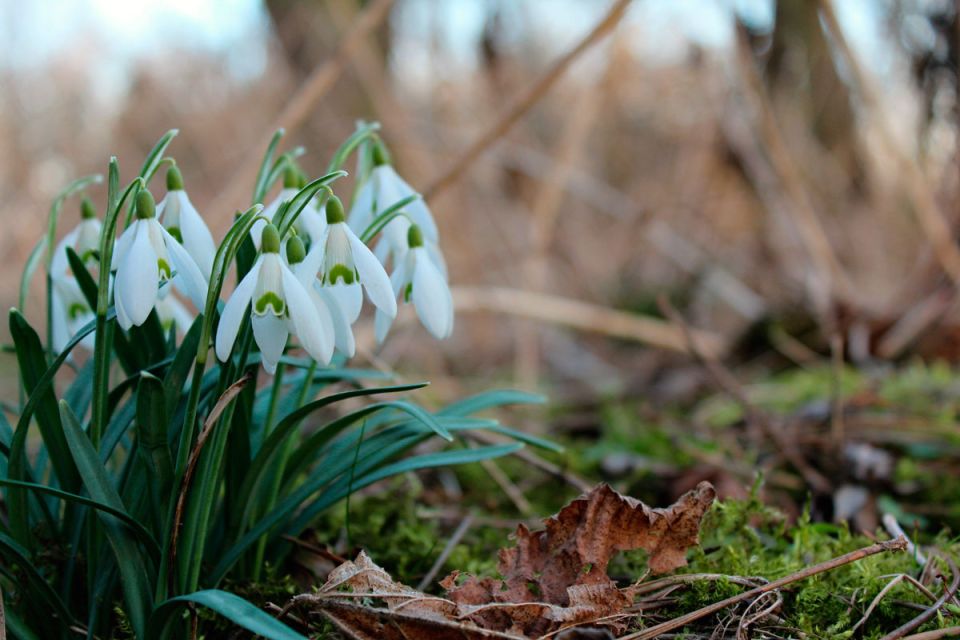 Погода 14 апреля: небольшие дожди и от +4 °С до +15 °С