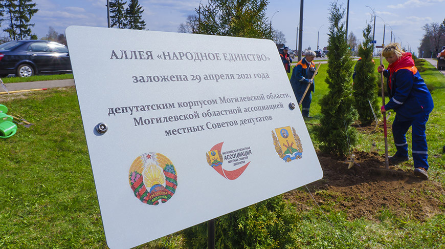 Депутаты Могилевской области высадили аллею в честь Года народного единства