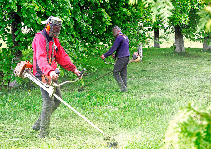 Время браться за косы