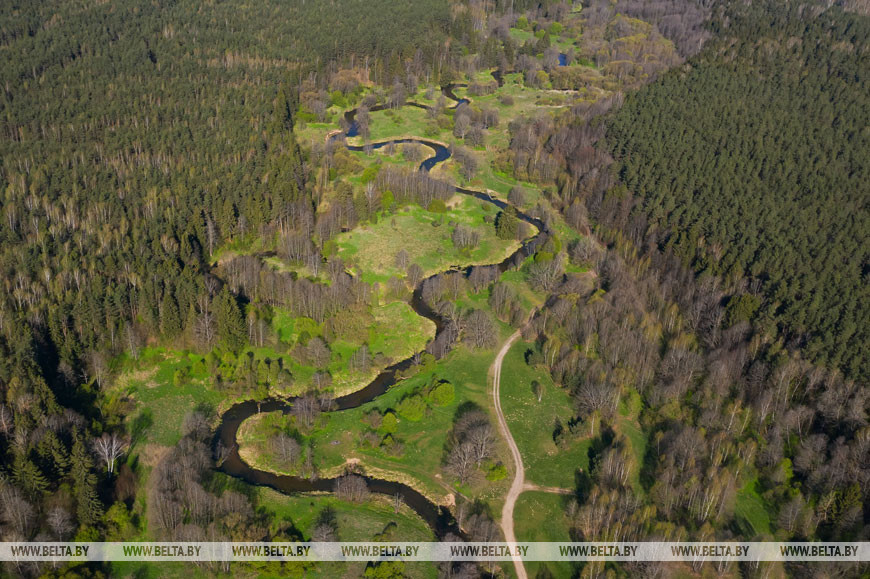 Жара в Беларуси будет нарастать