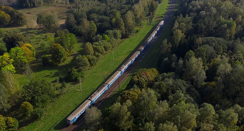 Для гостей праздника «Купалье» в Александрии БЖД назначила дополнительные поезда