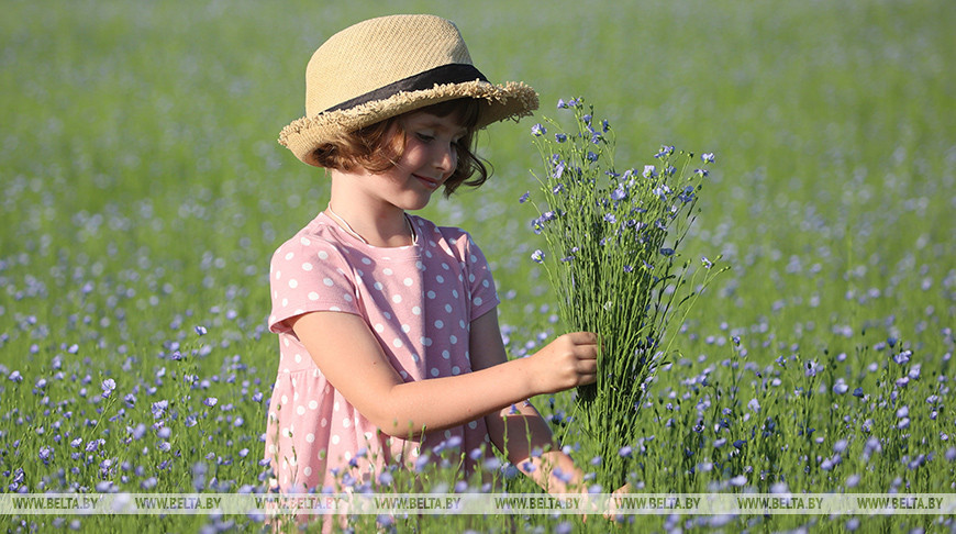 Жара в Беларуси начнет ослабевать в выходные