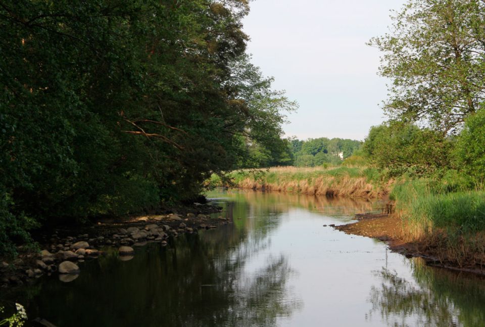 Погода 15 июня: кратковременные дожди, в отдельных районах грозы и до +23 °С