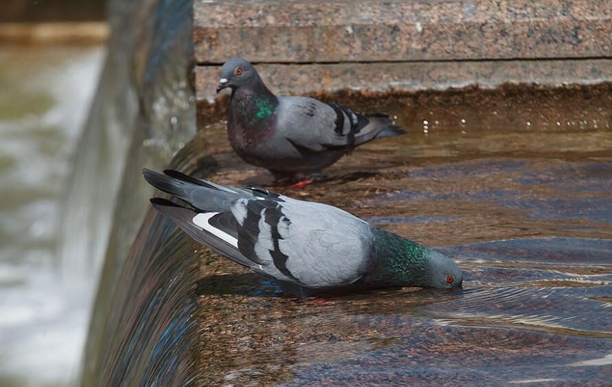 Погода на неделю: дожди и грозы, за исключением субботы