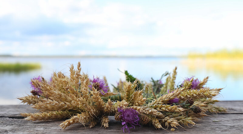 Лето в народных традициях и обрядах