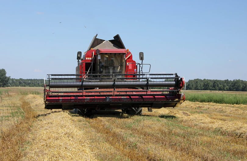 В Беларуси намолочено 127 тысяч тонн зерновых