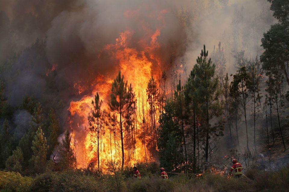 В Беларуси с начала пожароопасного сезона зарегистрировано 196 случаев лесных возгораний