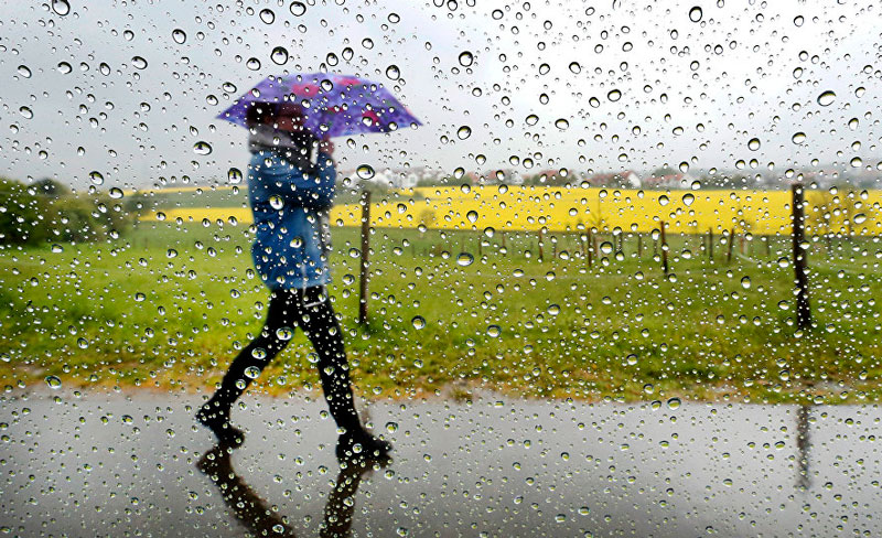 Прохладная дождливая погода ожидается в Беларуси на этой неделе