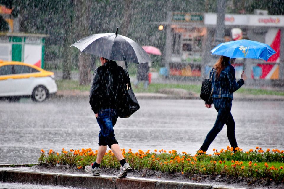 Дожди ожидаются местами по Беларуси 26 августа