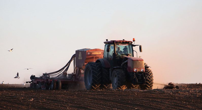 Сев озимых зерновых в Беларуси проведен на 20% площадей