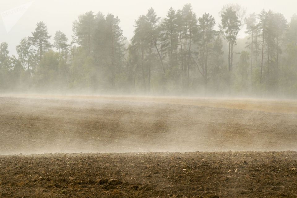 Дожди и туман ожидаются в Беларуси 2 сентября
