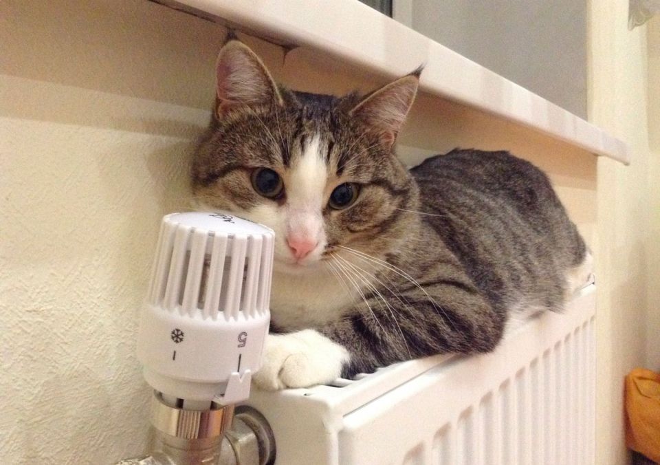 В Беларуси отопление включено в 97% жилых домов