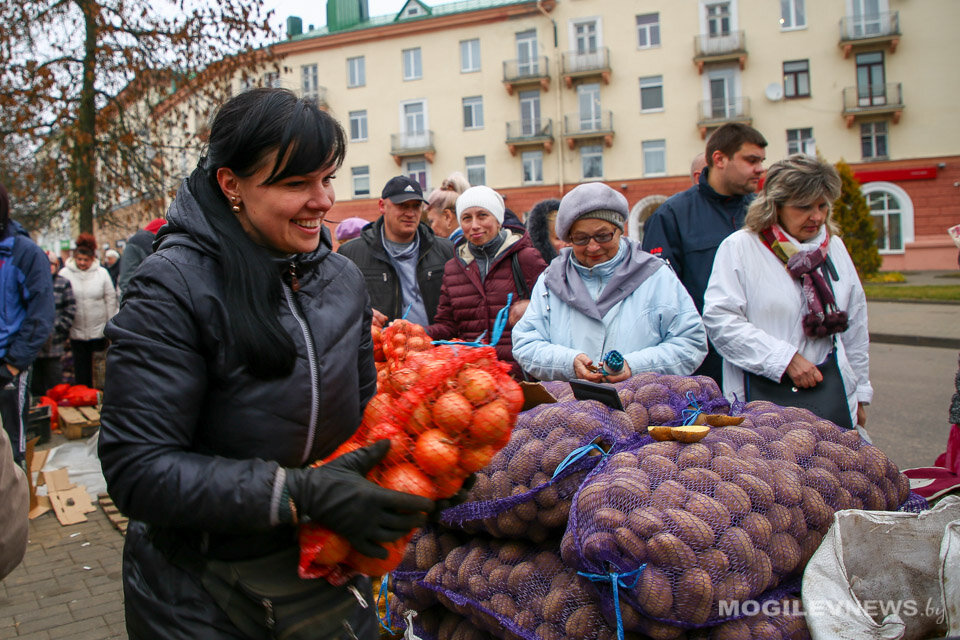 Сельскохозяйственные ярмарки заработают в Могилеве 17 сентября
