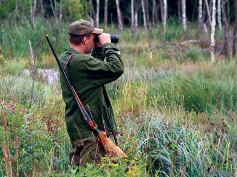Сезон загонной охоты на копытных открывается в Беларуси 1 октября