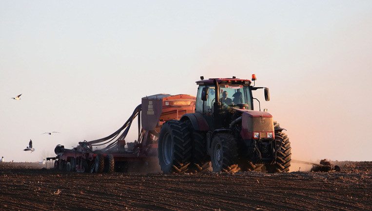 В Беларуси завершен сев озимых зерновых