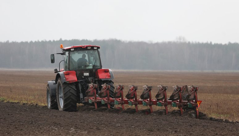 Лукашенко поручил Каранику активизировать работы в сельском хозяйстве