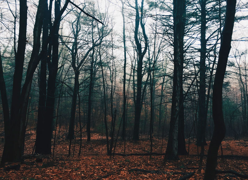 Нестор Летописец: что можно и нельзя делать 9 ноября