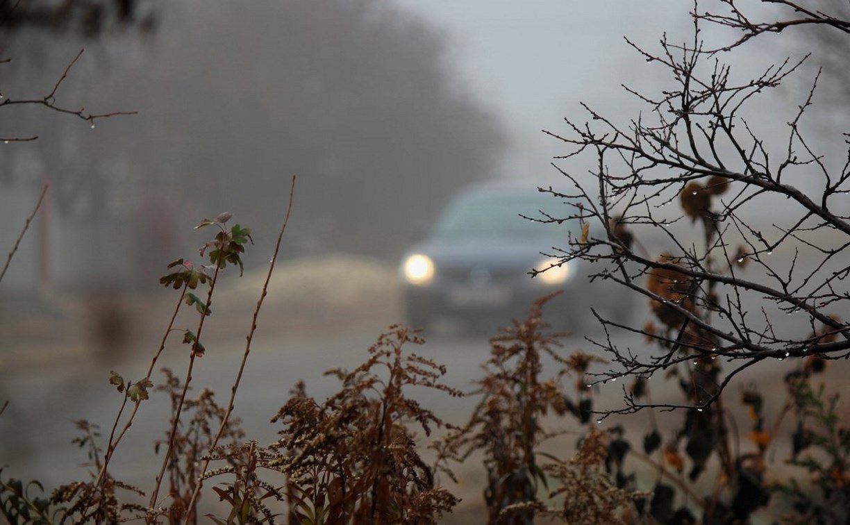 Туман и гололедица ожидаются в Беларуси 24 ноября