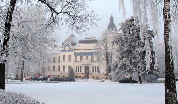 Выставочный проект «Зимой, снежною порой…» открылся в музее Масленикова Могилева