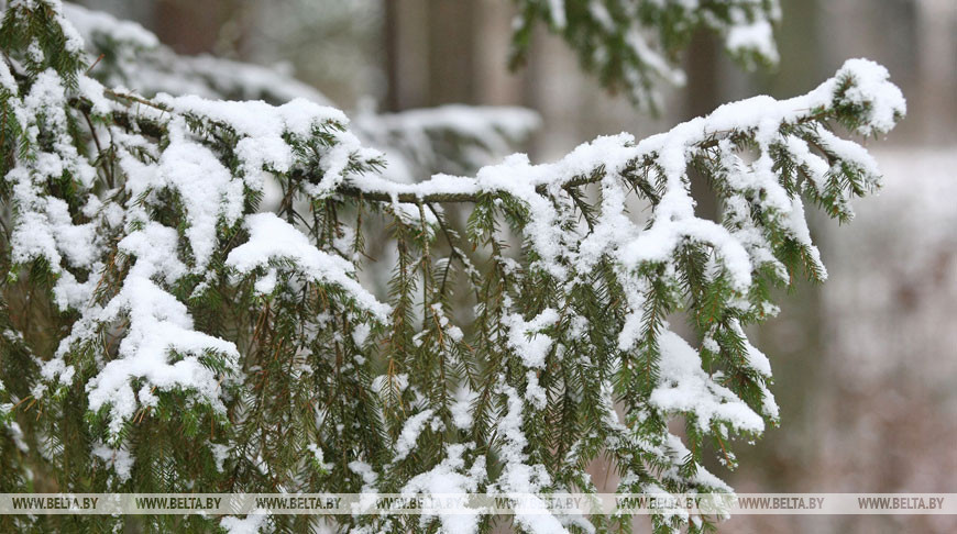 До -17°С ожидается в Беларуси 28 декабря